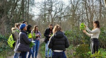 Balade à la découverte des plantes sauvages à Saint Cloud