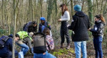 Balade à la découverte des plantes sauvages à Saint Cloud