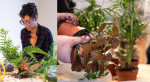 Création d'un terrarium à Paris - Nation