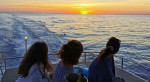 Croisière découverte du golfe du Morbihan depuis Arzon (3h, sans escale ou escale à l’Île-aux-Moines)