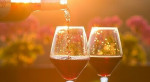 Dégustation de 12 vins du monde à domicile dans les Hauts de France