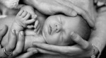 Shooting photo et Album Sonore spécial Famille, Grossesse ou Naissance à Paris