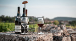 Visite dégustation de vins au sein d'un domaine à Mercurey près de Chalon-sur-Saône