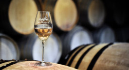 Visite immersive et dégustation de vins au cœur d'un domaine près de Bourges