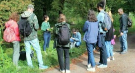 After work sur le thème des plantes sauvages à Vincennes
