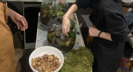 Atelier de création d'un Terrarium ou Kokedama à Paris 20ème