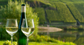 Atelier dégustation de vins alsaciens à Orbey près de Colmar