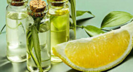 Consultation en naturopathie à Lagny-Sur-Marne