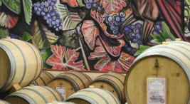 Dégustation de vin au Château au cœur de Pomerol