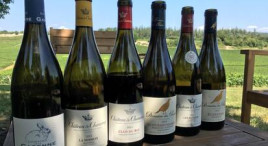Dégustation au sein d'un domaine viticole près de Chalon-sur-Saône