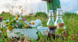 Naturopathie et psychogénéalogie à Bossée près de Tours