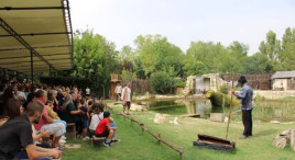 Parc à thème et ferme pédagogique immersifs du 20e siècle près d'Arles