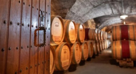 Visite-dégustation dans un domaine viticole du Beaujolais près de Mâcon