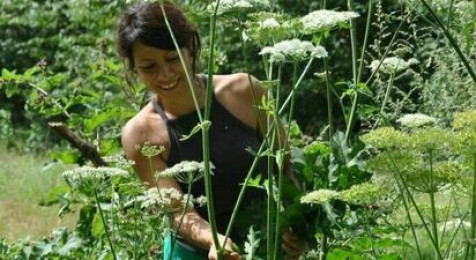 After work sur le thème des plantes sauvages à Vincennes