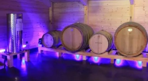 Atelier accord mets et vins à Monein dans un domaine viticole près de Pau