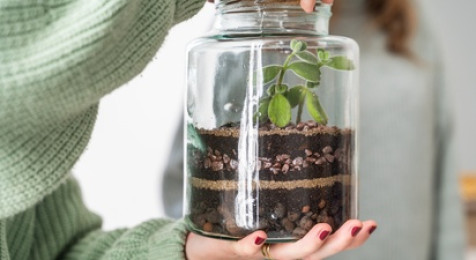 Atelier création de votre terrarium à Bordeaux