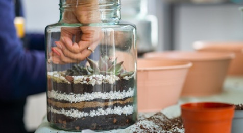 Atelier création de votre terrarium à Bordeaux