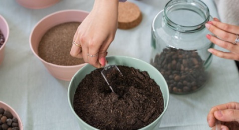 Atelier création de votre terrarium à Bordeaux