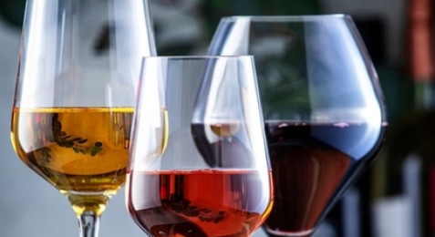 Atelier privatif d'œnologie pour 5 à Plassac