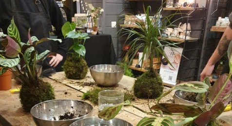 Atelier de création d'un Kokedama à Bordeaux