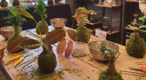 Atelier de création d'un Kokedama à Bordeaux