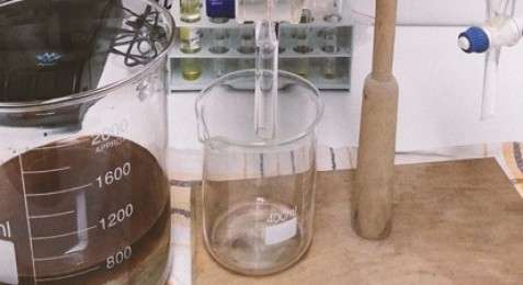 Atelier Découverte des Plantes médicinales et Visite de distillerie près de Carcassonne