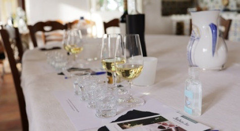 Atelier dégustation de vin à Saint-Émilion
