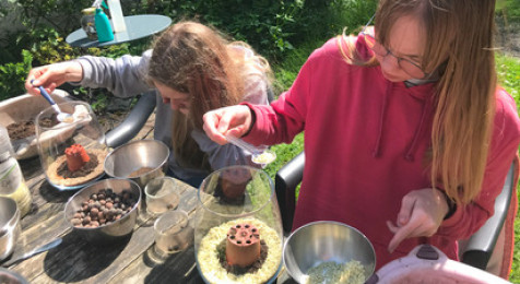 Atelier Terrarium près de Lille 