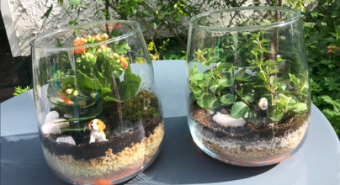 Atelier Terrarium près de Lille 