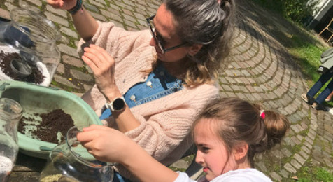Atelier Terrarium près de Lille 