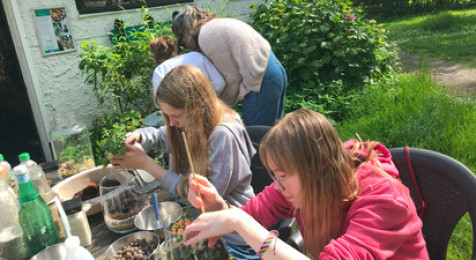 Atelier Terrarium près de Lille 
