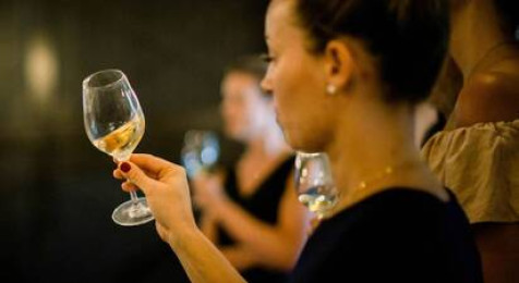 Atelier Vin et Fromage au chateau Les Carrasses à Quarante