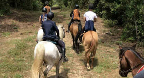 Balade à cheval aux portes de Poitiers
