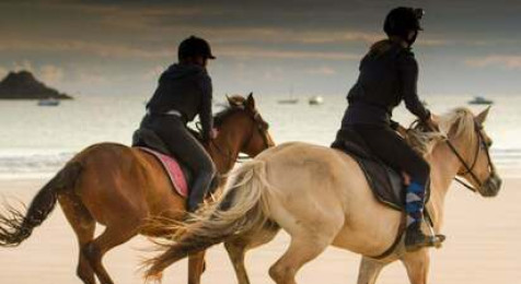 Balade à Cheval à Plurien (22)