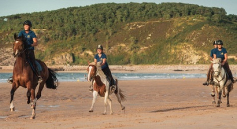 Balade à Cheval à Plurien (22)