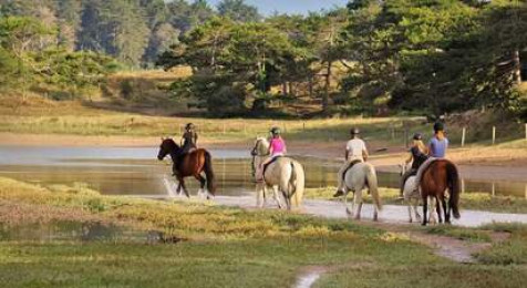 Balade à Cheval à Plurien (22)