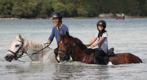 Balade à Cheval à Plurien (22)