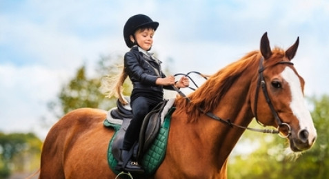 Cours d'équitation à Manosque
