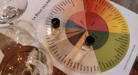 Cours d'œnologie à Lachassagne au cœur du Beaujolais
