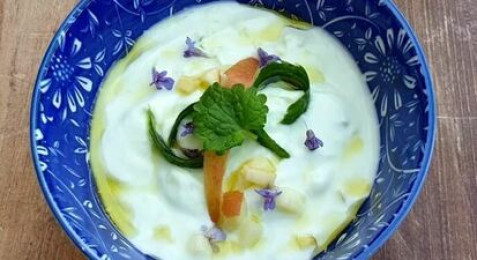 Cours de cuisine sauvage à Vincennes