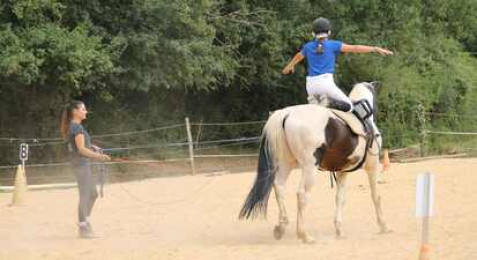 Cours d'équitation près de Poitiers