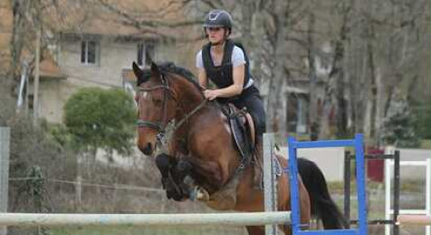 Cours d'équitation près de Poitiers