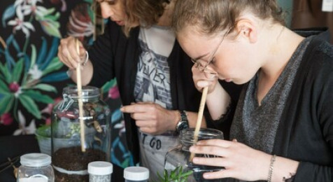 Création d'un terrarium à Dijon