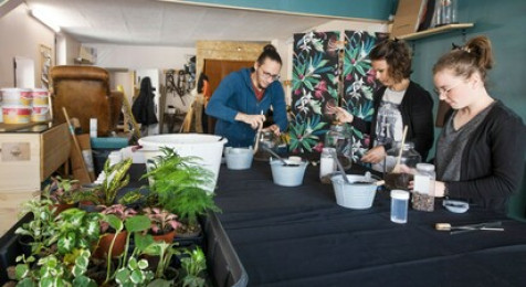 Création d'un terrarium à Dijon