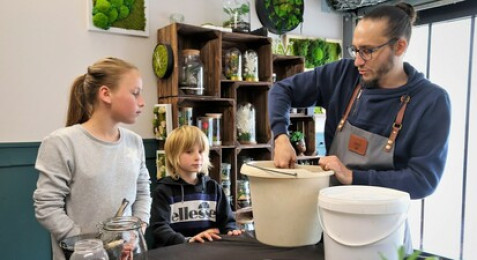 Création d'un terrarium en DUO à Dijon