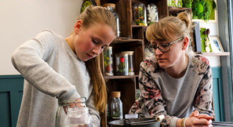 Création d'un terrarium en DUO à Dijon