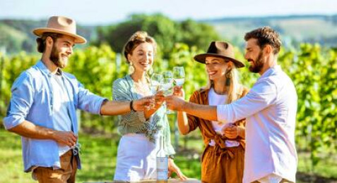 Dégustation de 12 vins du monde à domicile dans les Hauts de France