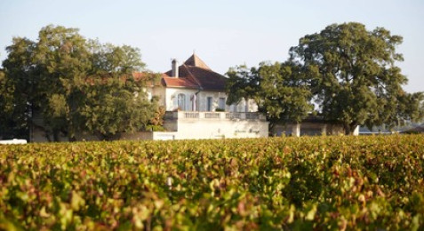 Dégustation de vin au Château au cœur de Pomerol