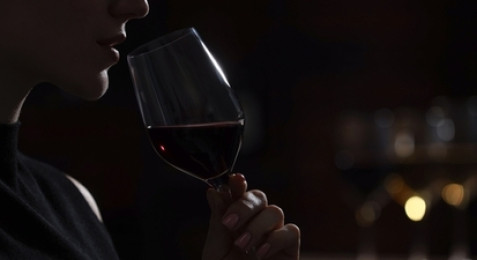 Dégustation de vin dans le noir à Plassac
