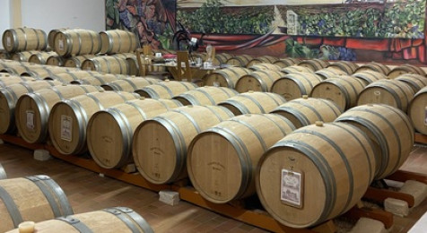 Dégustation étonnante dans les chais de 1896, au cœur de Pomerol